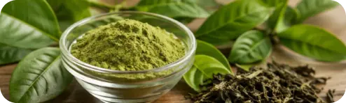 Green tea leaf extract