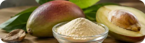 African mango seed extract